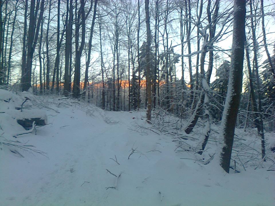 Ilyen erdei utakon lehet sítúrázni. Ilyen erdei utakon lehet sítúrázni.