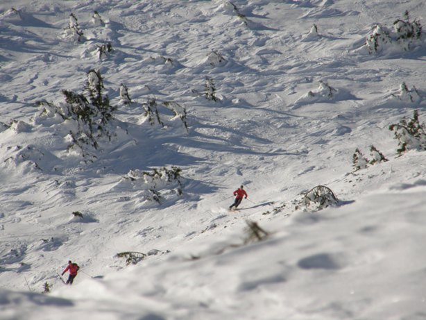 freeride.JPG