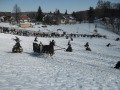 B�kkszentkereszt lovassz�n-verseny&nbsp;(7 k�p)