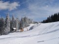 Cavnic20100315-06.jpg