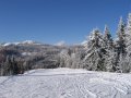 Cavnic20100315-09.jpg