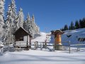 Cavnic20100315-12.jpg