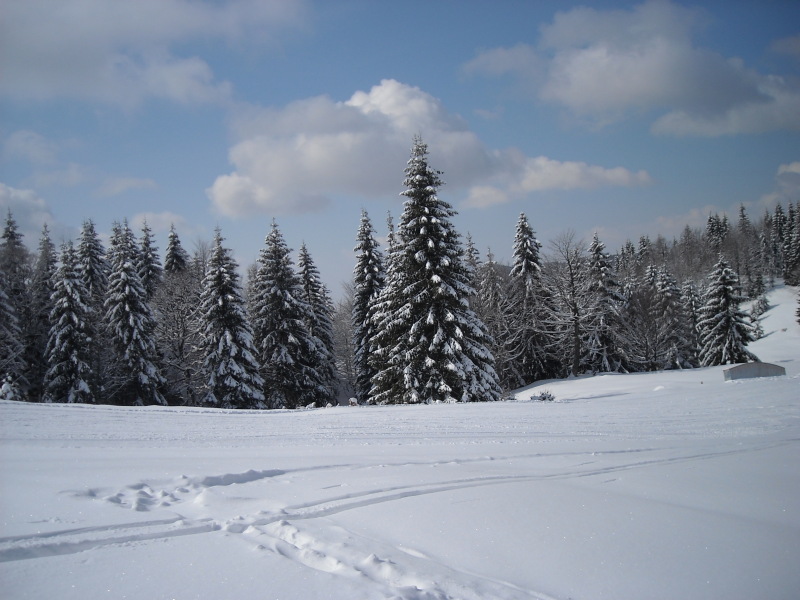 DSCN1118.JPG