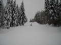 DSCN0836.JPG