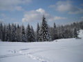 DSCN1118.JPG