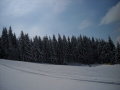 DSCN1119.JPG