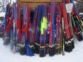 DSC09738.JPG