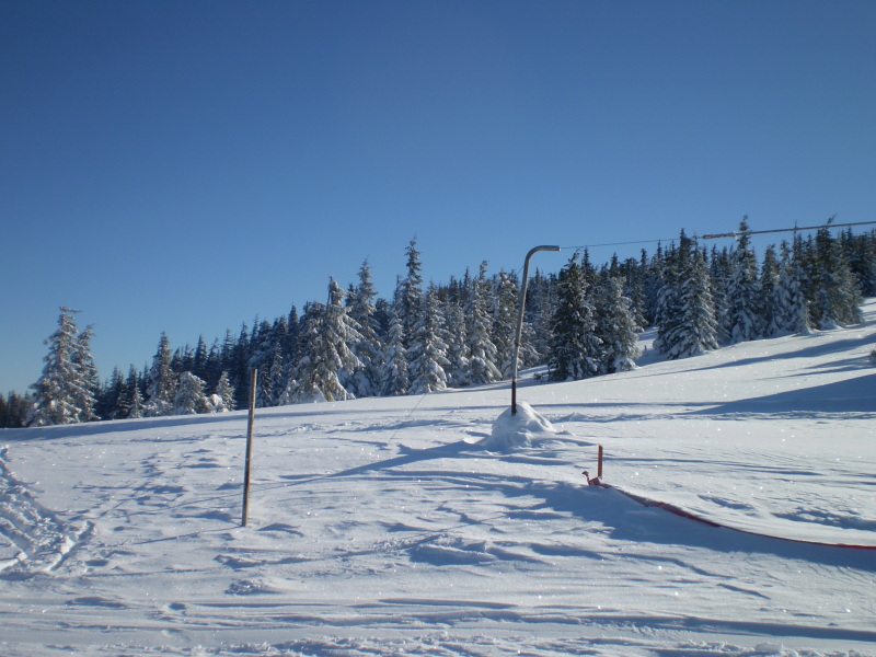 P2040216.JPG