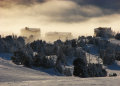 DSC03327.jpg