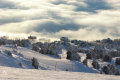 DSC03329.jpg