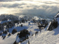 DSC03336.jpg
