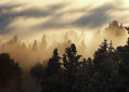 DSC03361j.jpg