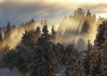 DSC03364.jpg
