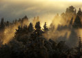 DSC03365.jpg