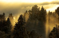 DSC03366.jpg