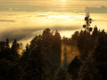 DSC03367.jpg