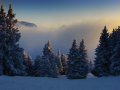DSC03372.jpg
