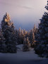 DSC03375.jpg