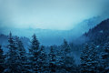 IMG-8070.jpg