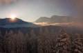 IMG-8155.jpg