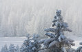 IMG-8167.jpg