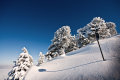 IMG-8221.jpg