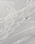 Freeride