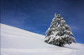 IMG-8402.jpg
