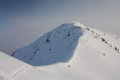 IMG-8406.jpg
