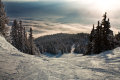 IMG-8424.jpg