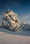 IMG-8432.jpg