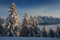 IMG-8435.jpg
