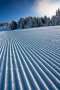 IMG-8445.jpg