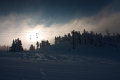 IMG-8446.jpg