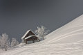 IMG-8479.jpg