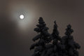 IMG-8520.jpg