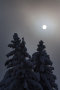 IMG-8523.jpg