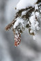 IMG-8529.jpg