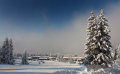 IMG-8534.jpg
