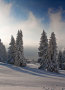 IMG-8537.jpg