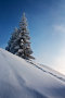 IMG-8547.jpg