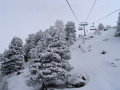 IMG_4574.JPG