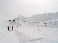 IMG_4579.JPG