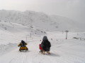 IMG_4582.JPG