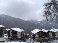IMG_4596.JPG