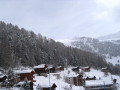 IMG_4601.JPG