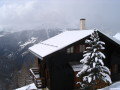 IMG_4605.JPG