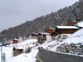 IMG_4608.JPG