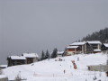 IMG_4609.JPG