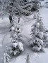 IMG_4610.JPG